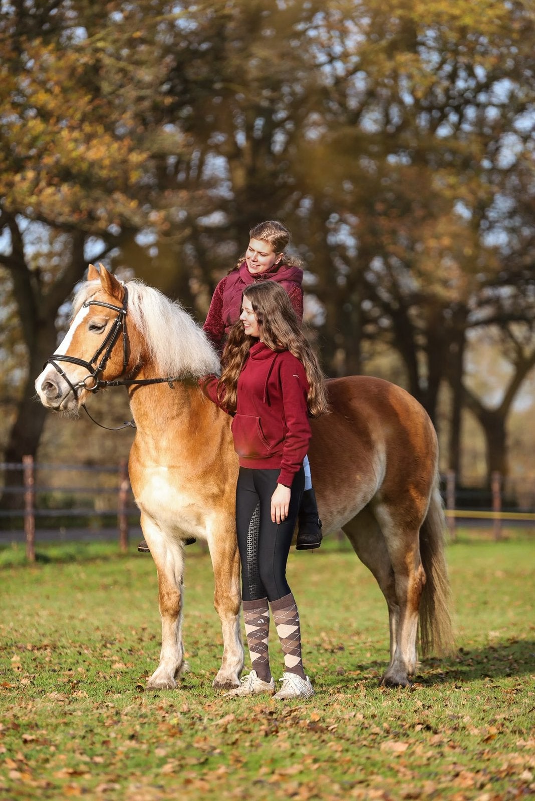 Bijrijd paard gezocht/verzorgpony aangeboden, Ophalen