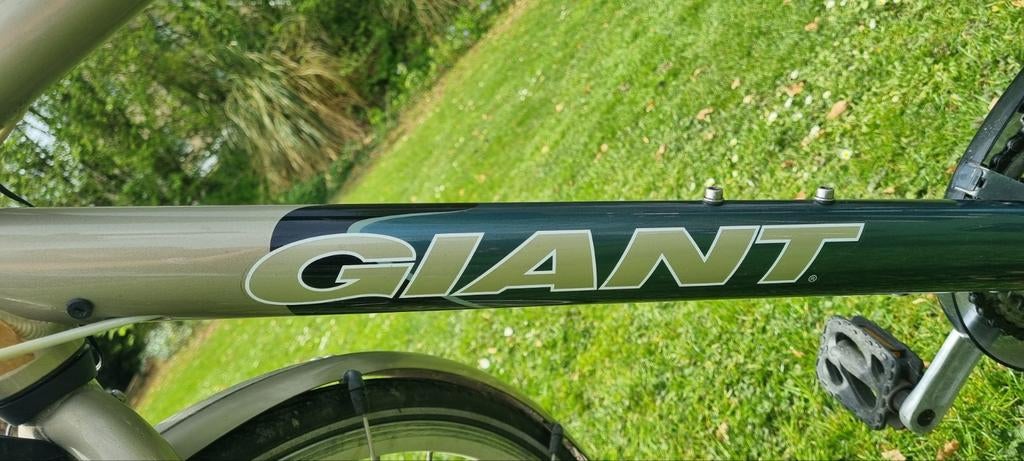 Giant herenfiets (maat L) met 21 versnellingen, Fietsen en Brommers, Fietsen | Heren | Herenfietsen, Ophalen