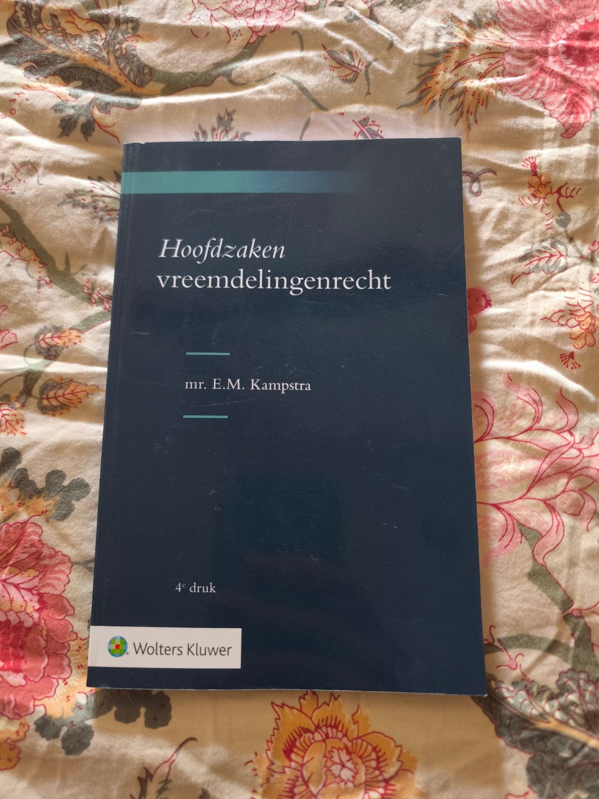 E.M. Kampstra - Hoofdzaken vreemdelingenrecht, Boeken, E.M. Kampstra, Sociale wetenschap, Ophalen of Verzenden, Zo goed als nieuw