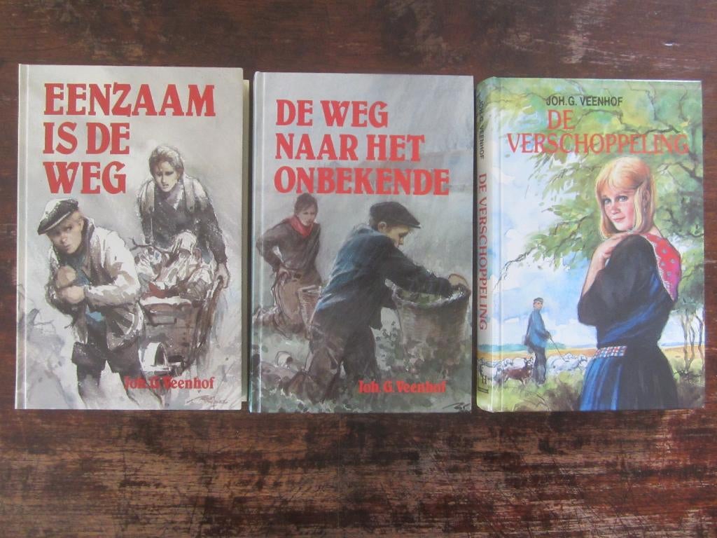 Joh G Veenhof verschoppeling/weg naar het onbekende/eenzaam, Boeken, Ophalen of Verzenden, Zo goed als nieuw, Gelderland