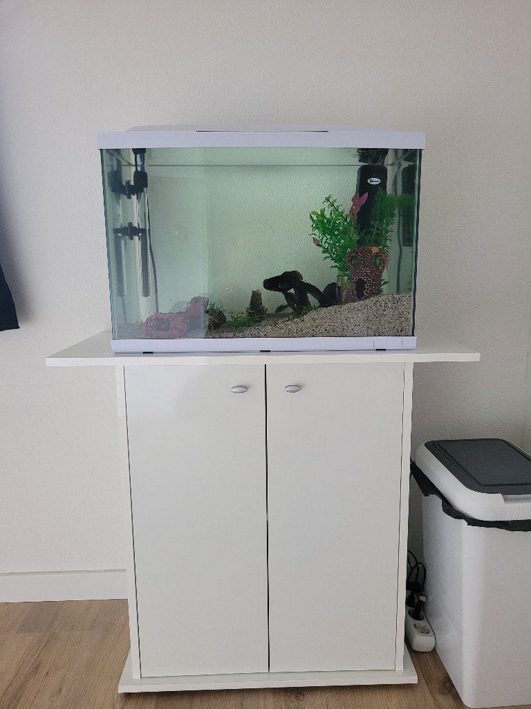 Compleet aquarium 60 liter met meubel, Ophalen, Inclusief toebehoren, Zo goed als nieuw, Gevuld zoetwateraquarium