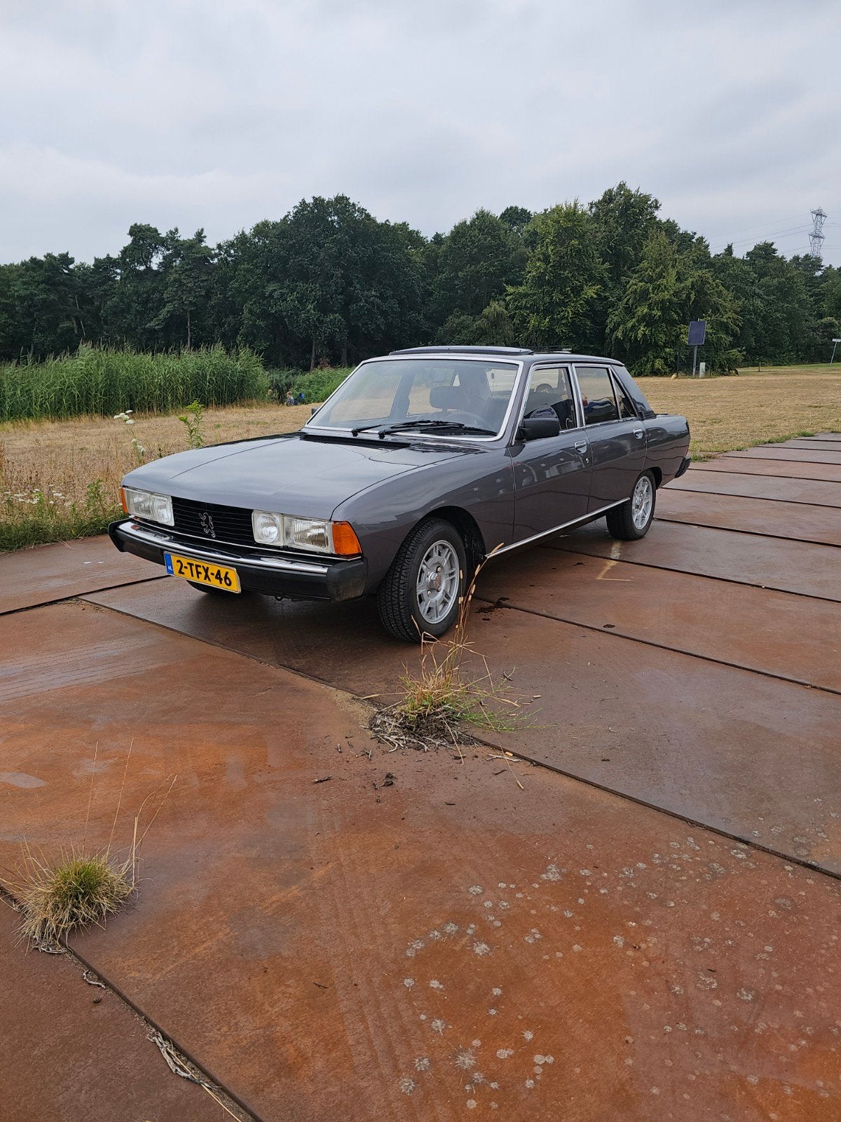 Peugeot 604 GTI V6 Automaat 1985 Topstaat, 157 pk, 2849 cc, Particulier, Sedan