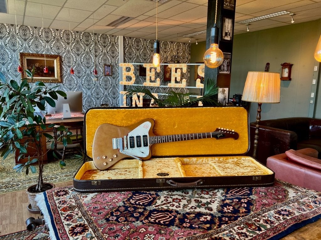 Bees In A Jar Vintage Series Guitar Case Type III - Firebird, BIAJ, Info@beesinajar.com, Binckhorstlaan 36, Ophalen of Verzenden