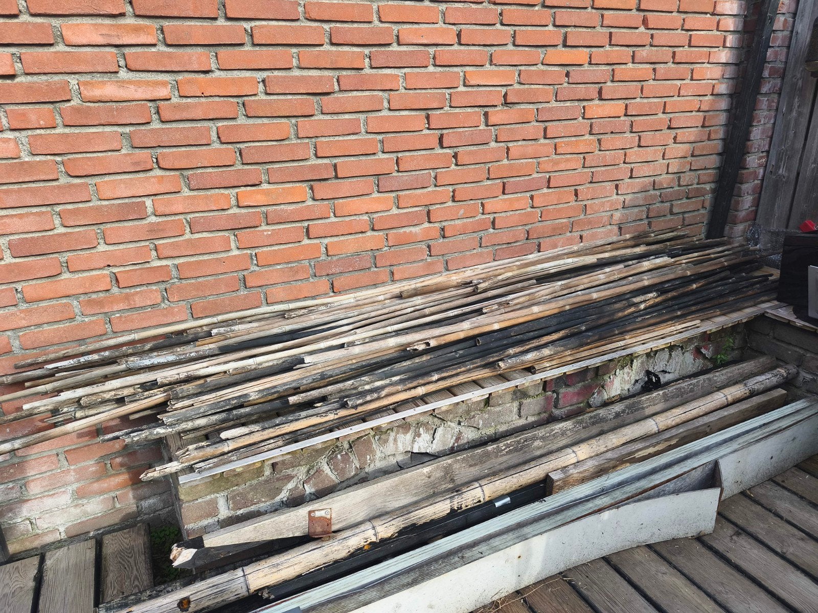 Bamboe palen voor diverse projecten, Ophalen
