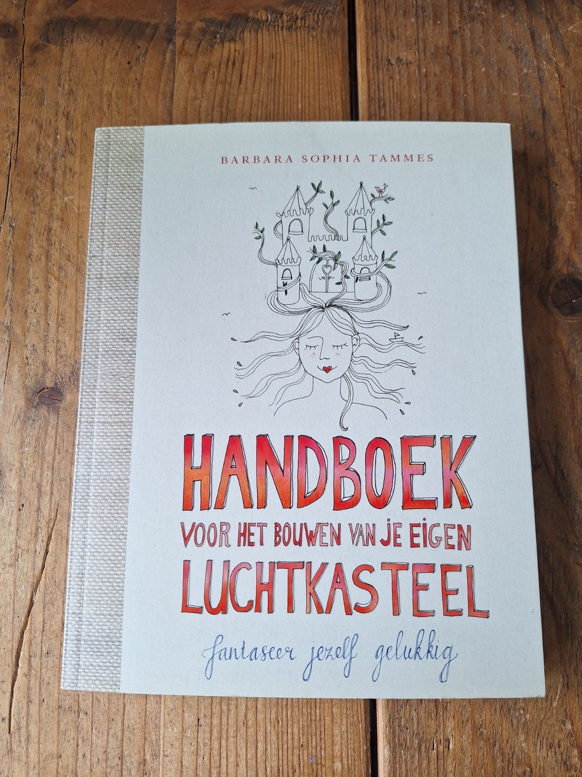 Handboek voor het bouwen van je eigen luchtkasteel, Boeken, Verzenden, Zo goed als nieuw, Barbara Sophia Tammes
