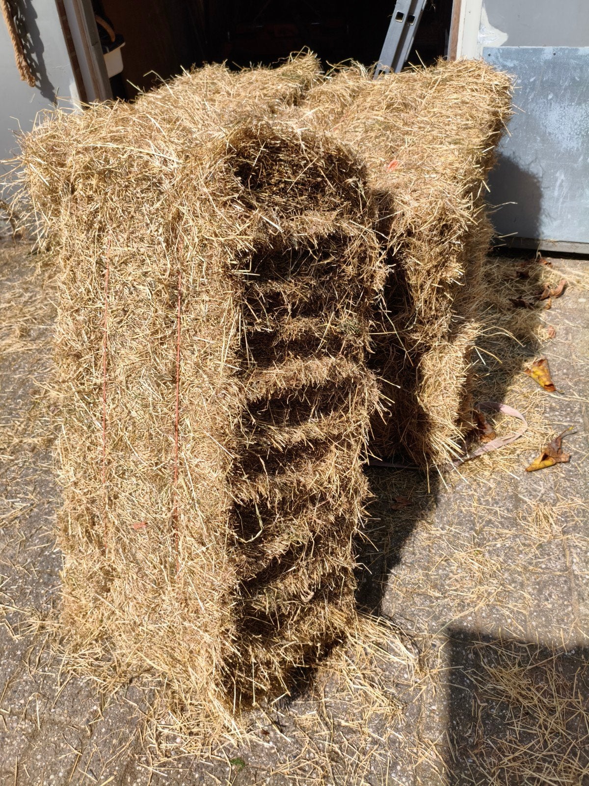 Hooibalen te koop, Ophalen, Vee