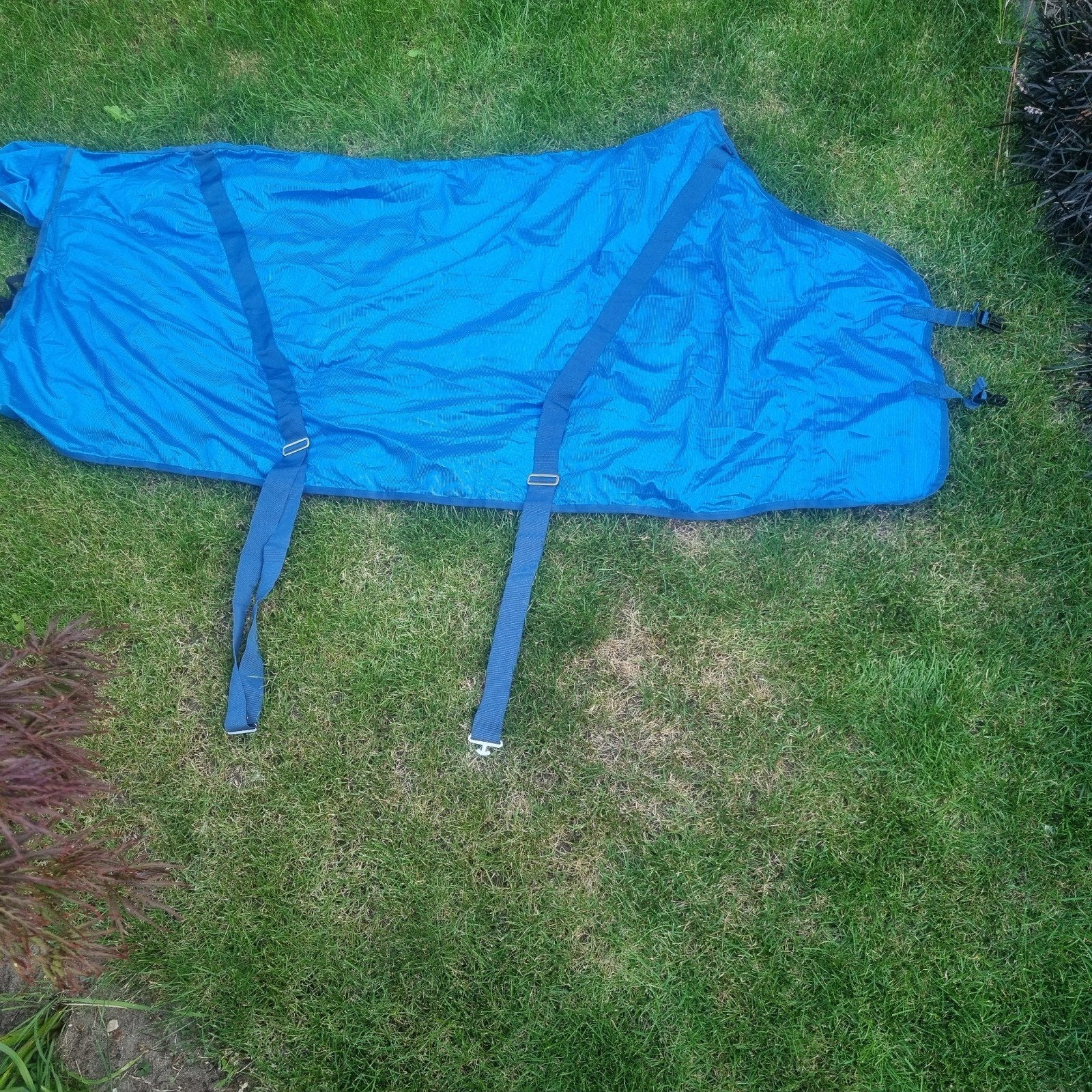 Vliegendeken maat 205 cm Nieuw!, Ophalen of Verzenden, Nieuw