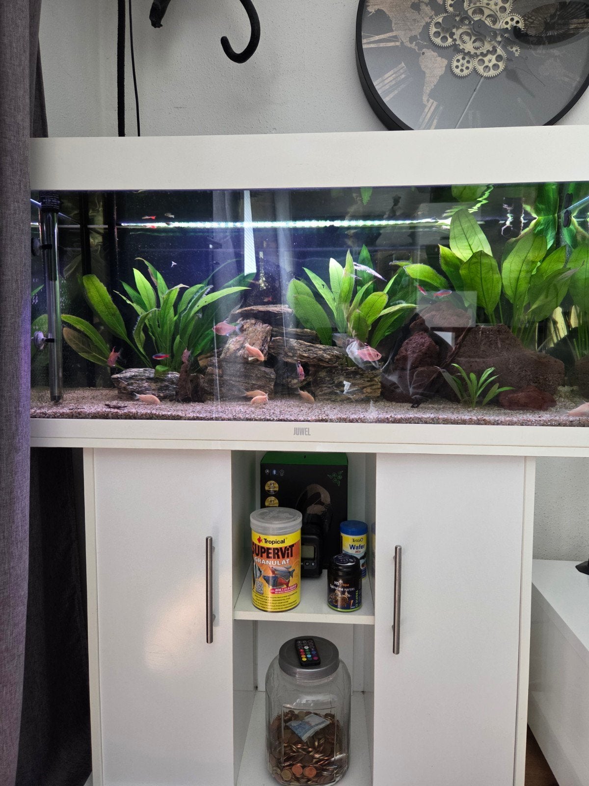 Juwel Rio 180 LED, Dieren en Toebehoren, Vissen | Aquaria en Toebehoren, Ophalen, Zo goed als nieuw, Gevuld zoetwateraquarium
