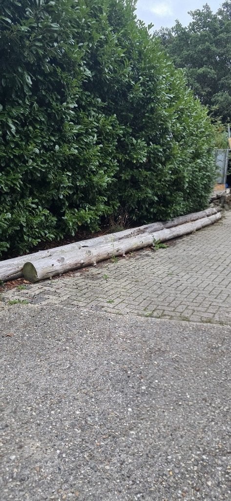 2 Douglas gebinten – 7 en 8 meter – ongebruikt, Ophalen, Nieuw, 250 cm of meer, Balken