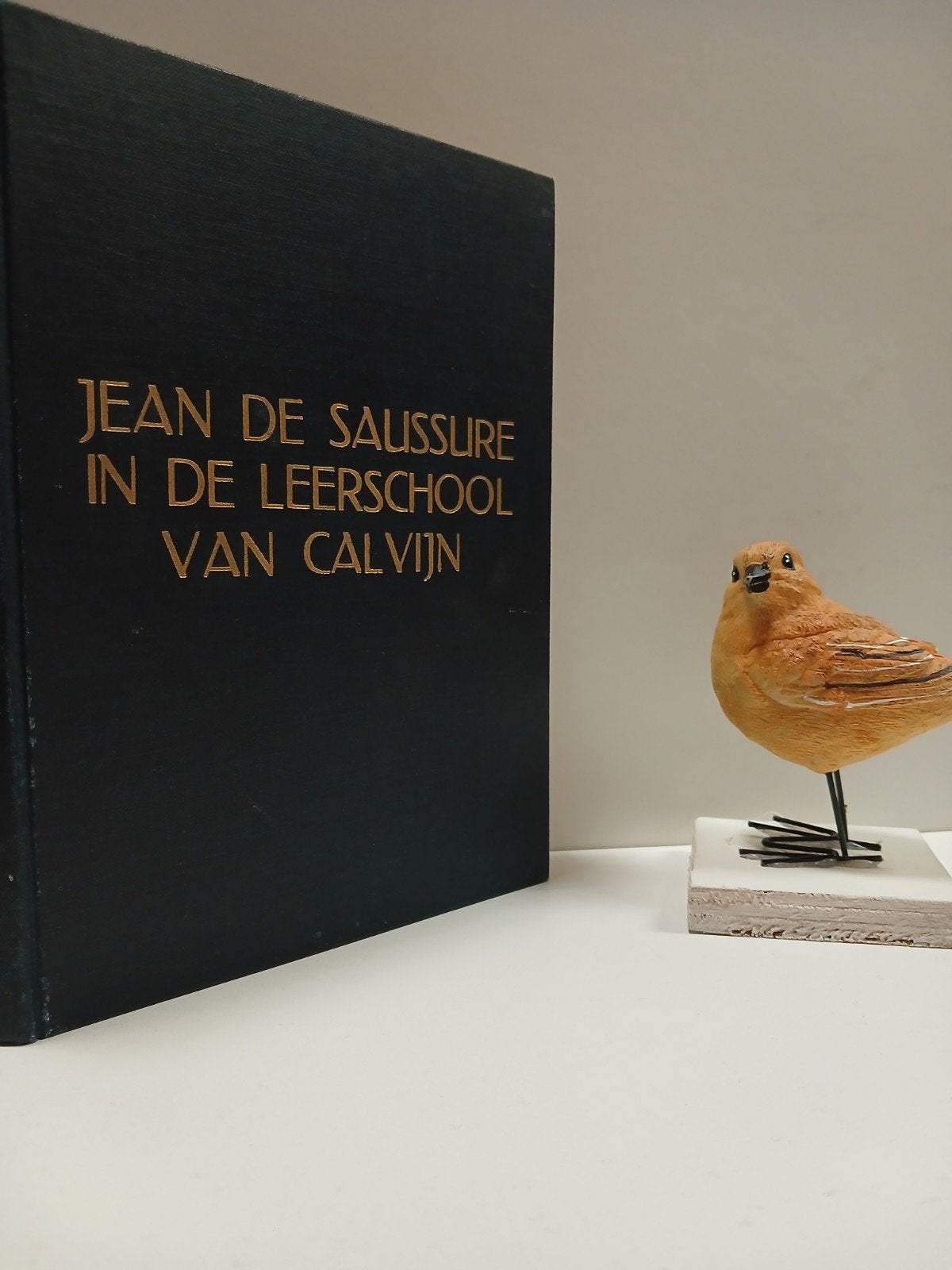 Saussure, Jean de; In de leerschool van Calvijn, Ophalen of Verzenden, Gelezen, Christendom | Protestants
