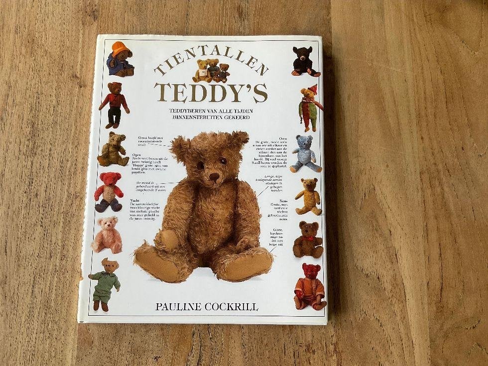 teddy beren boek tientallen teddy's, Ophalen of Verzenden, Zo goed als nieuw, Overige typen, Overige merken