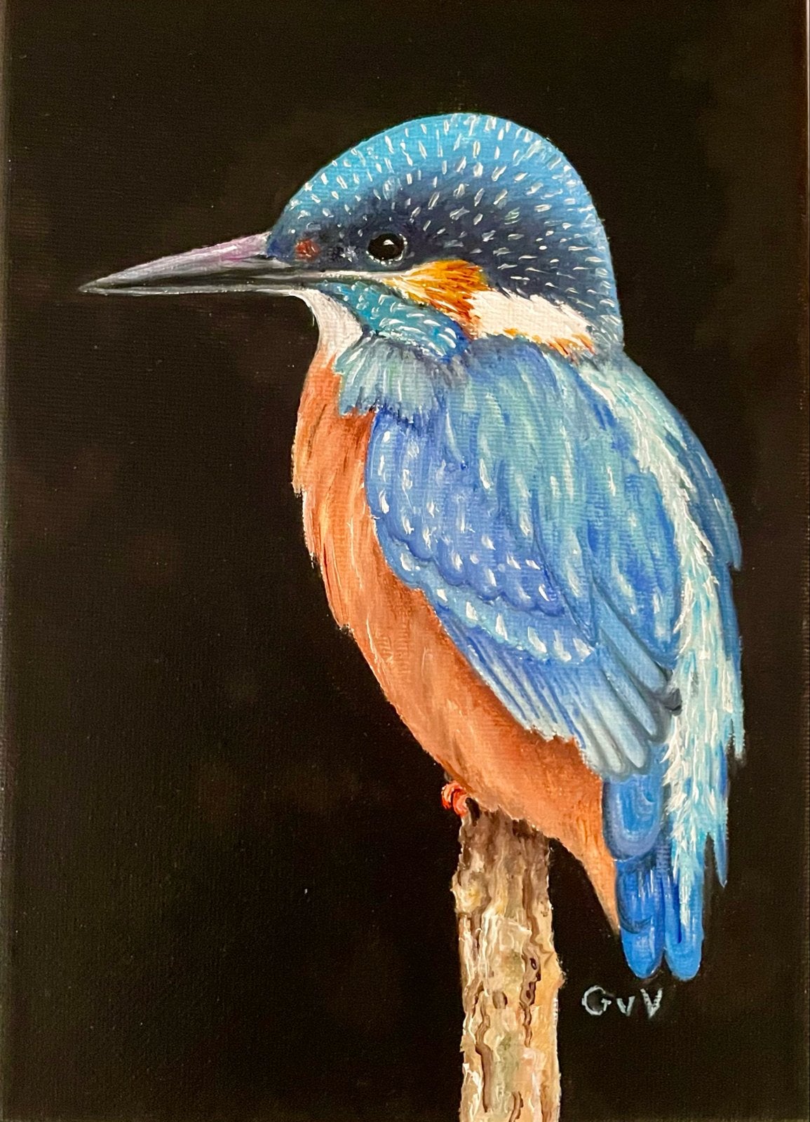 Prachtige IJsvogel Schilderij - Handgeschilderd, Antiek en Kunst, Handgeschilderd, Ophalen of Verzenden, Dieren, Olieverf