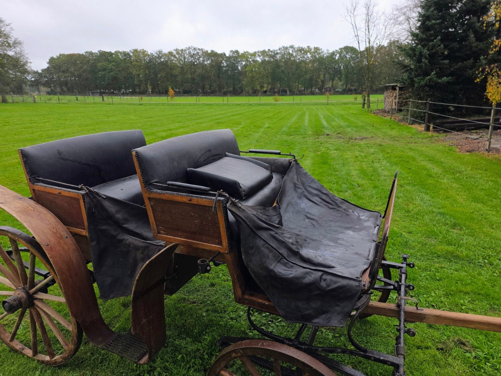 Jachtwagen, Gebruikt, Overige typen, Paard