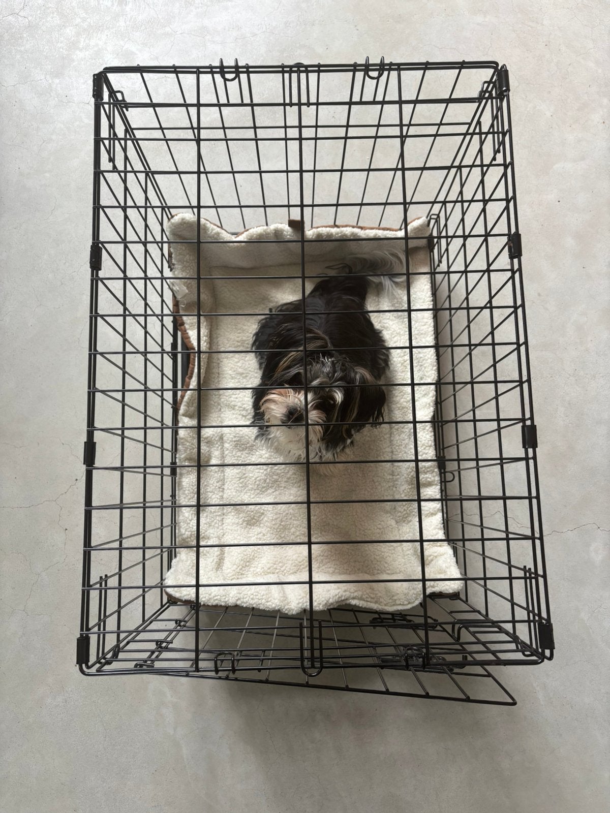 Inklapbare bench voor hond of kat, Ophalen, Zo goed als nieuw