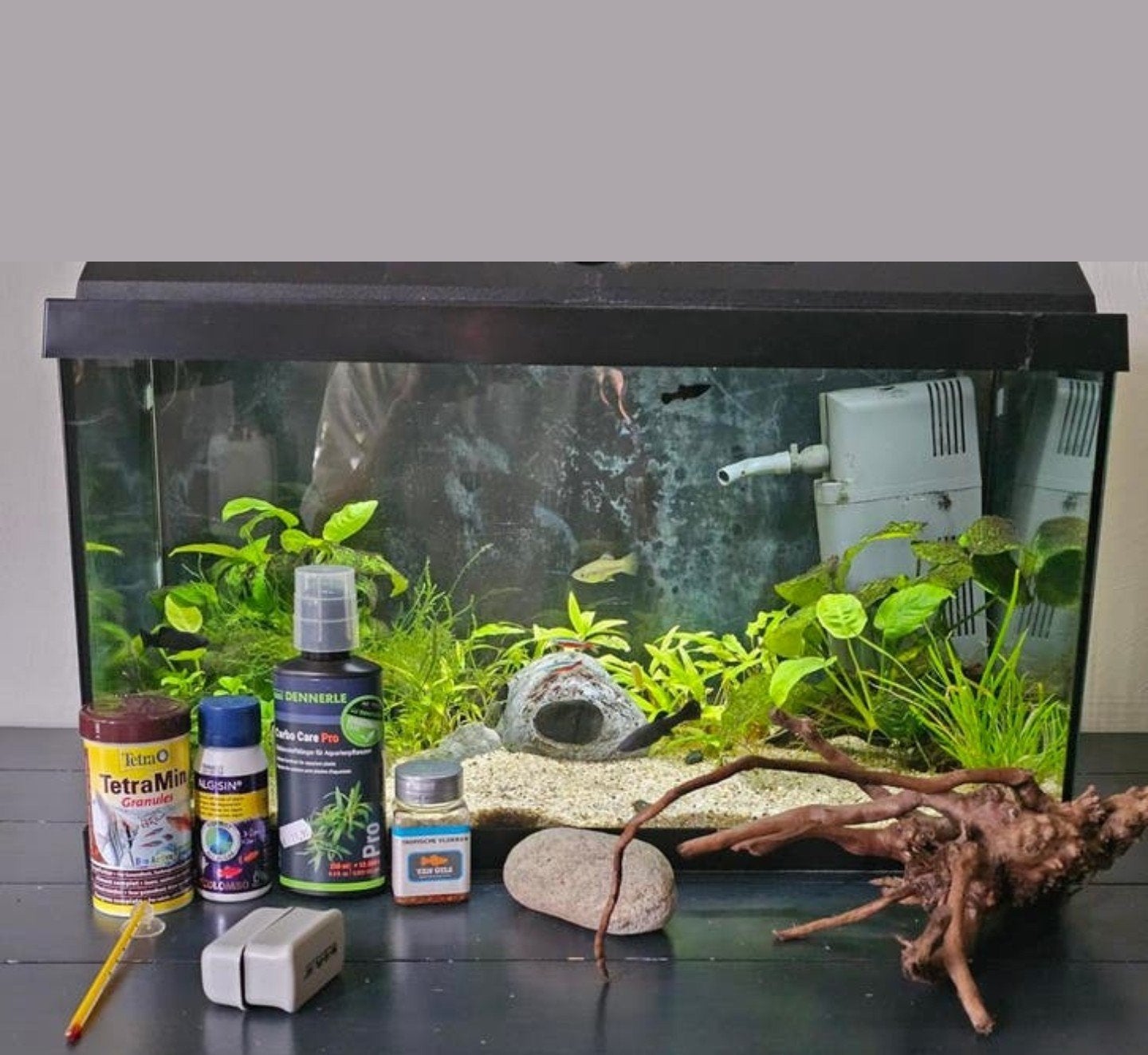 Juwel primo 60, Ophalen, Gevuld zoetwateraquarium