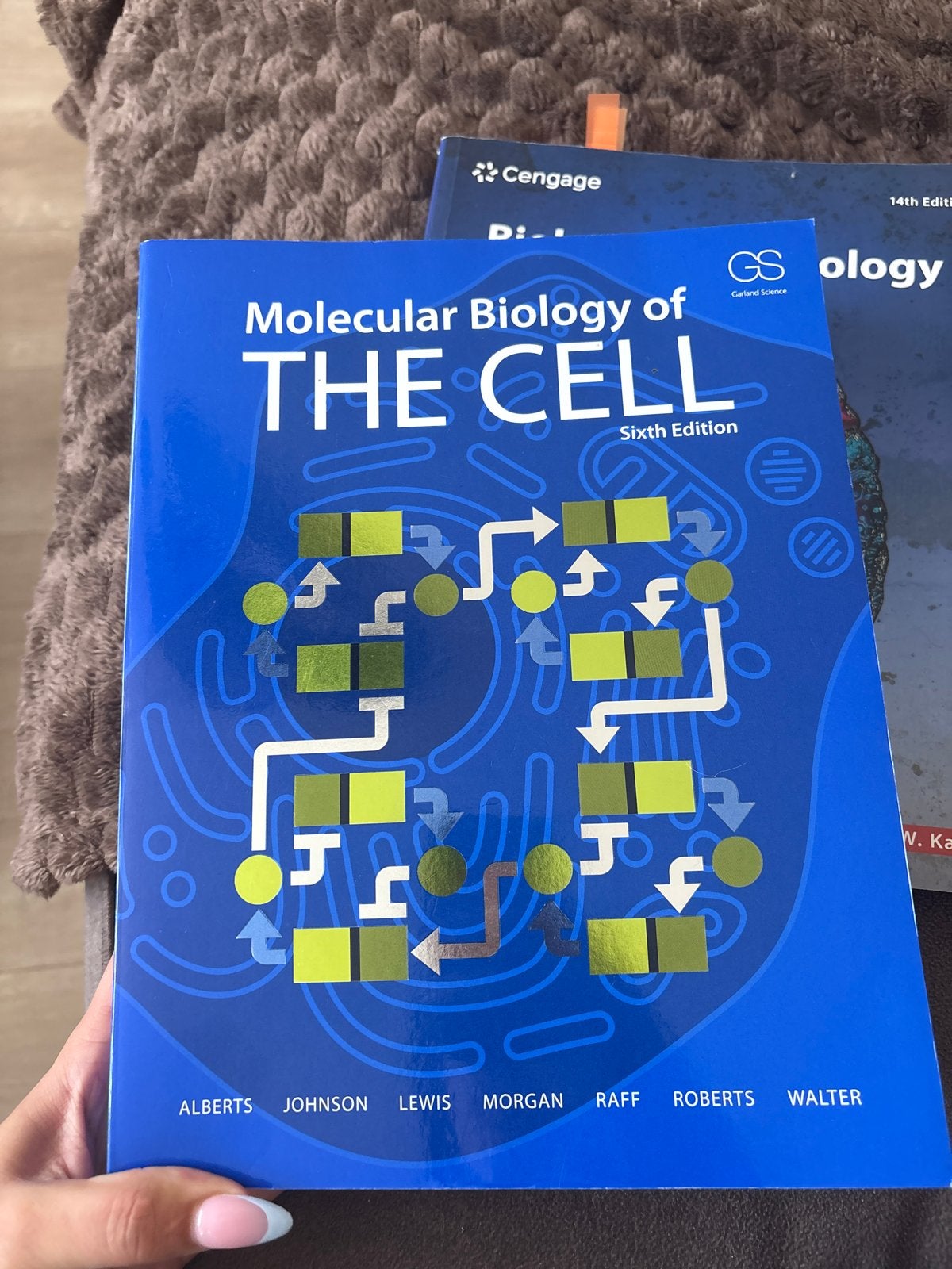 Molecular Biology of THE CELL - Sixth Edition, Boeken, Studieboeken en Cursussen, Ophalen of Verzenden, Beta, Zo goed als nieuw