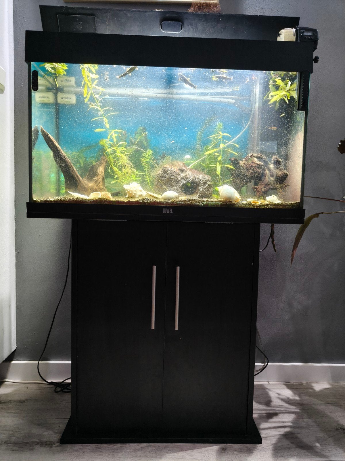 Aquarium te koop., Gebruikt, Aquariummeubel, Ophalen of Verzenden, Juwel