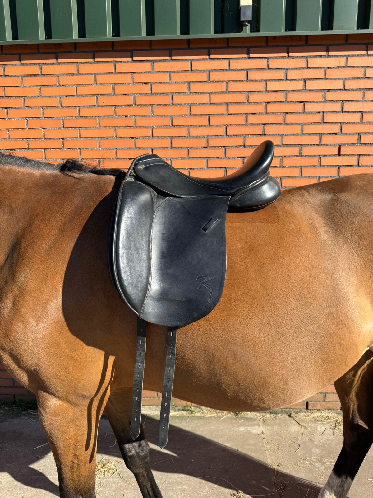 Kentaur Penelopa dressuurzadel 17 inch, Ophalen, Dressuur, Kentaur, M (17 inch)
