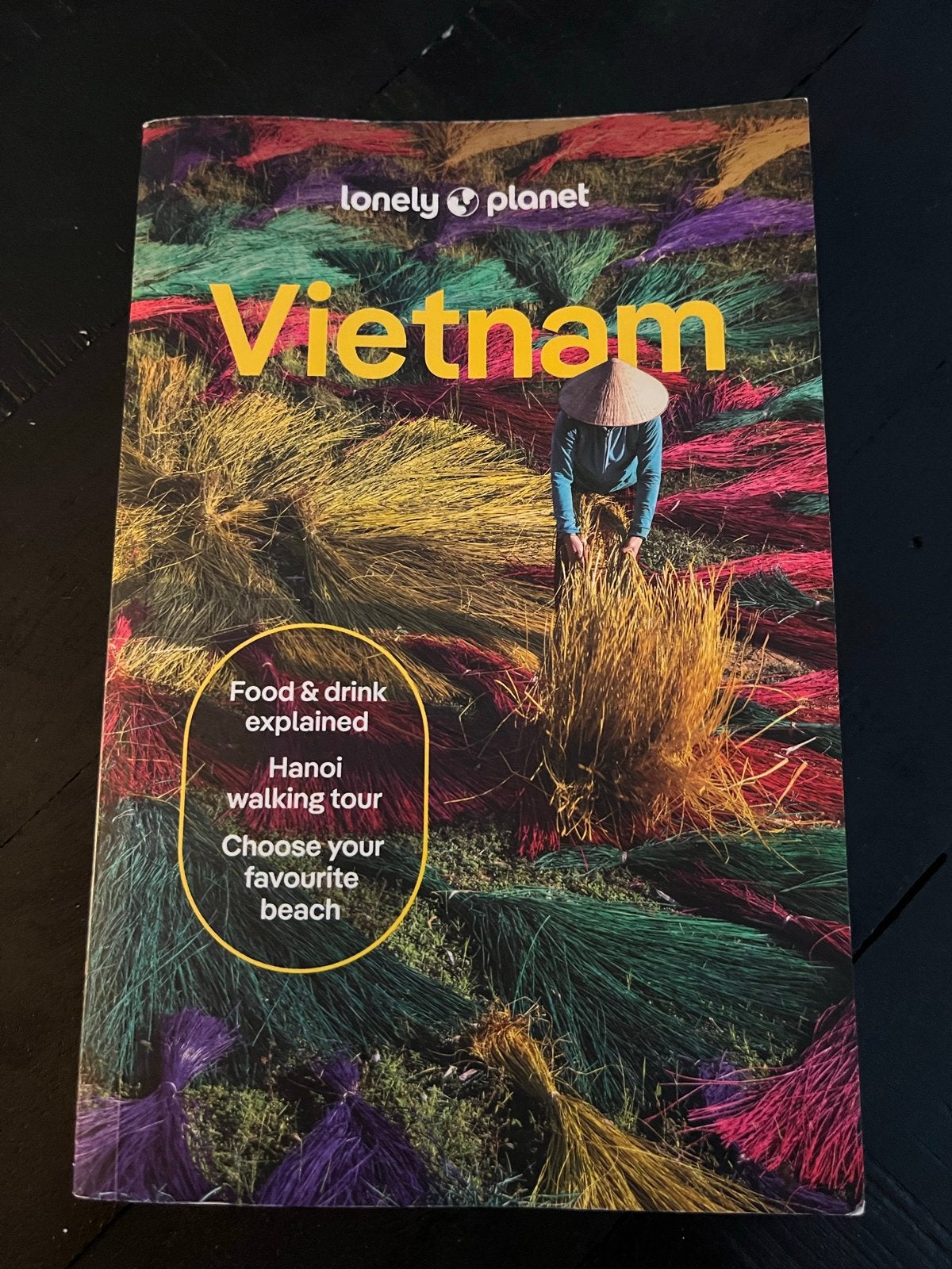Lonely Planet Vietnam Reisgids, Boeken, Lonely Planet, Ophalen of Verzenden, Zo goed als nieuw, Reisgids of -boek