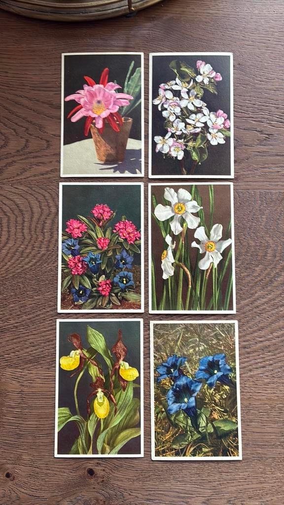Serie kaarten diverse bloemen. 32 stuks. 28 onbeschreven, Ophalen of Verzenden, 1920 tot 1940, Ongelopen, Overige thema's