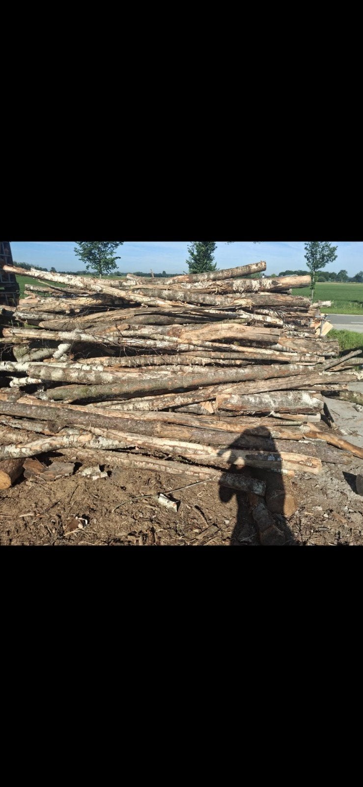 Mix haardhout stammen zie omschrijving, Tuin en Terras, Haardhout, Stammen, Beukenhout, 6 m³ of meer, Ophalen of Verzenden