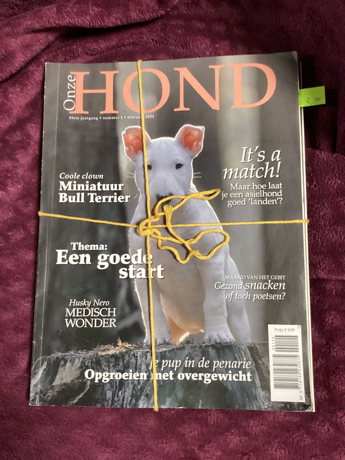 Meerder stapels / complete jaargang Onze Hond tijdschriften, Ophalen of Verzenden, Gelezen, Overige typen