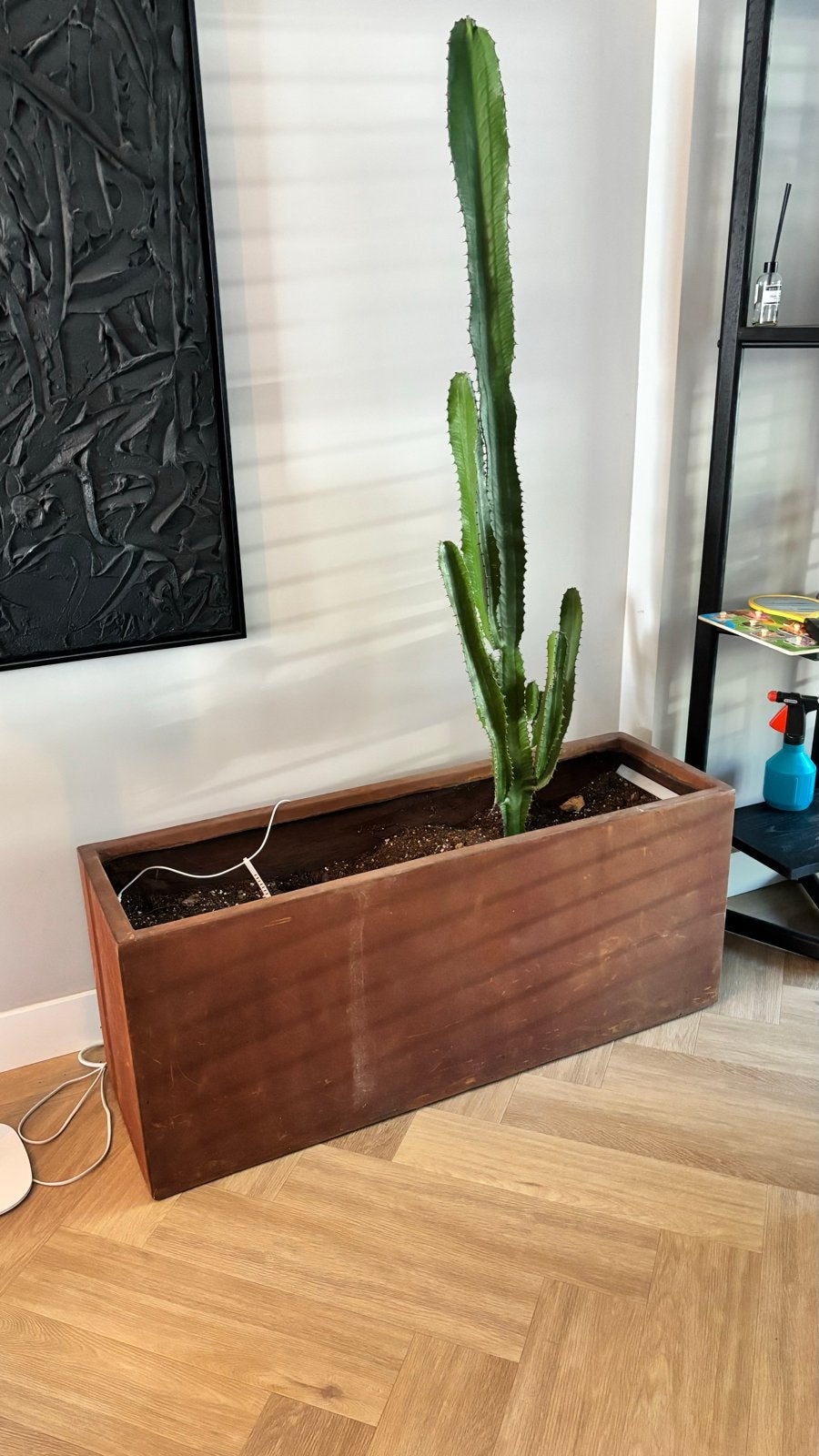 Grote rechthoekige plantenbak - Cortenstaal look, Tuin en Terras, Bloembakken en Plantenbakken, Ophalen, Gebruikt, 100 cm of meer