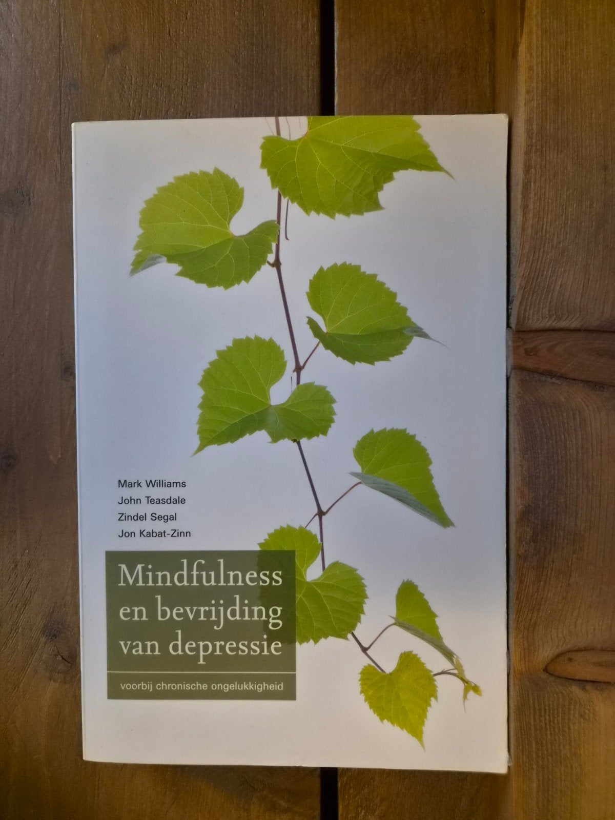 Mindfulness en bevrijding van depressie - Jon Kabat-Zinn, Ophalen of Verzenden, Zo goed als nieuw, Klinische psychologie, Mark Williams, John Teasdale, Zindel Segal, Jon Kabat-Zinn