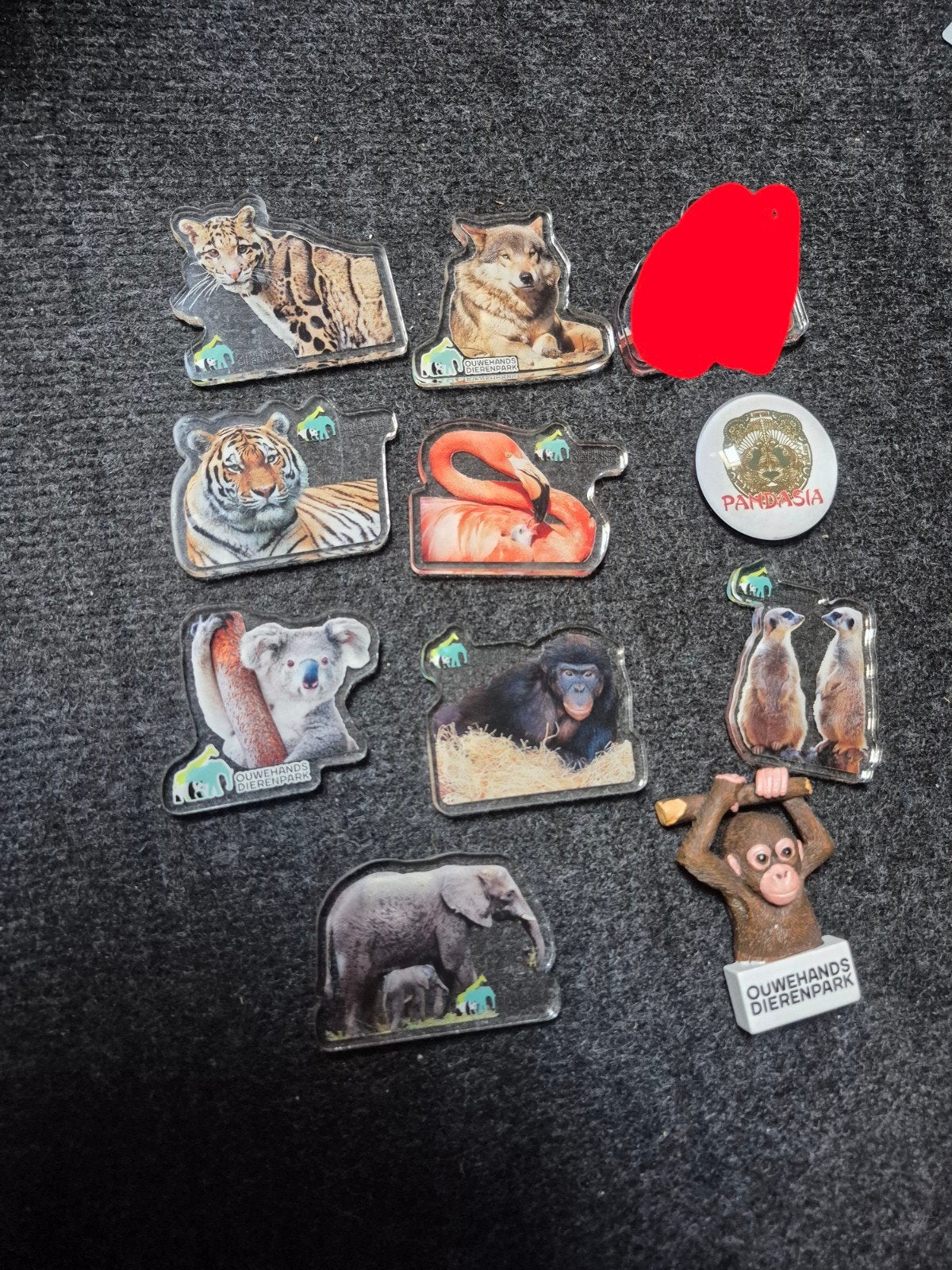 10 ouwehands dierenpark magneten dierentuin, Ophalen of Verzenden, Zo goed als nieuw, Hond of Kat, Beeldje of Figuurtje