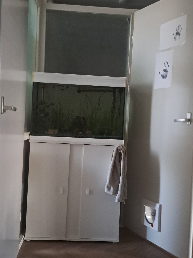 Aqarium, Ophalen, Overige merken, Inclusief vissen, Gevuld zoetwateraquarium
