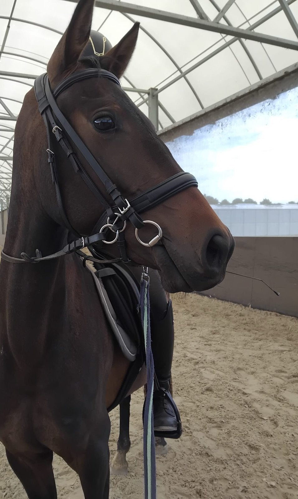 Mega brave e pony!, Dieren en Toebehoren, Merrie, Minder dan 160 cm, Dressuurpaard, Zadelmak