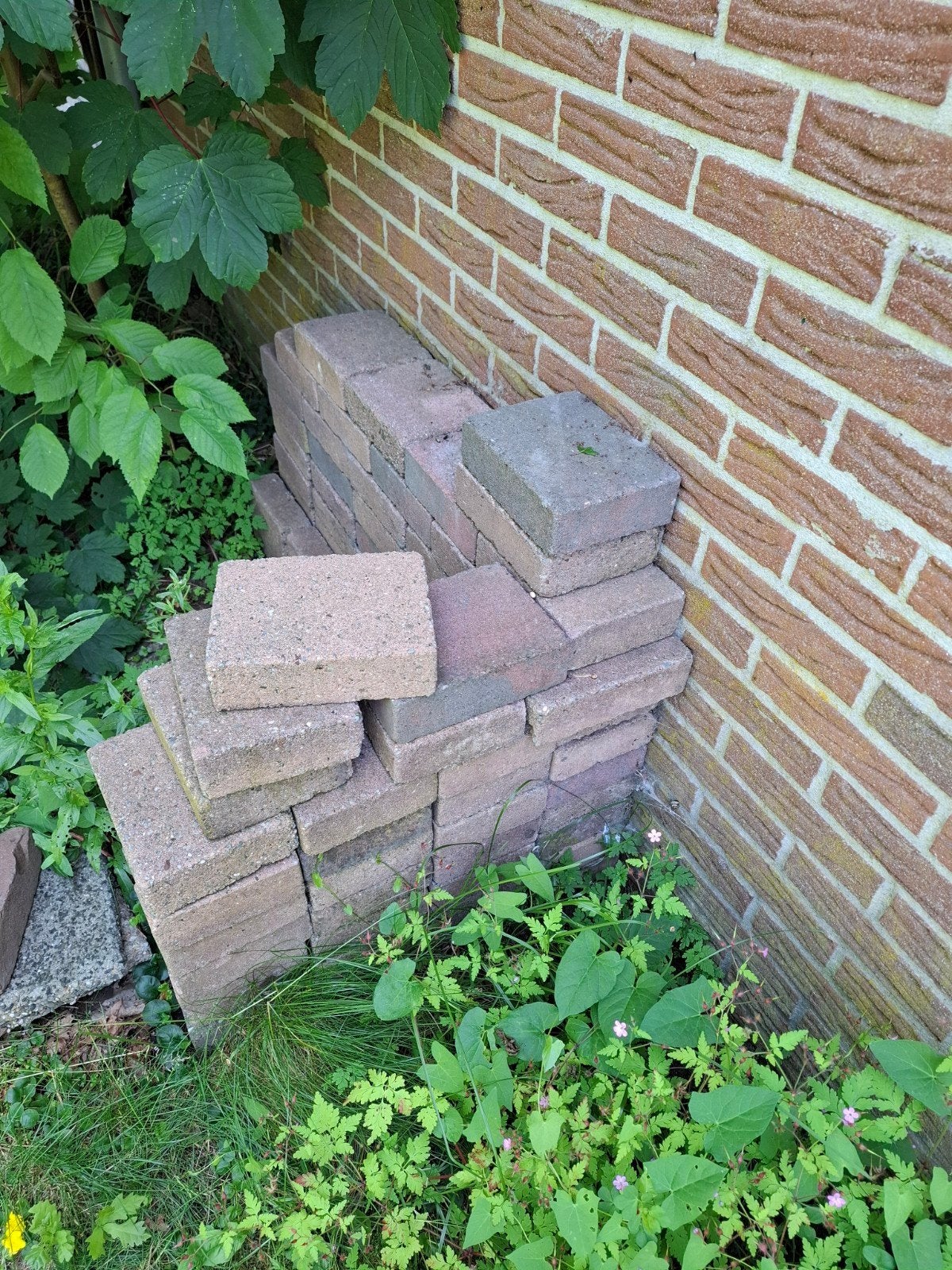 Gratis Mooie gebruikte stenen 20x15 cm - ca. 70 stuks, Ophalen, Gebruikt, Klinkers, Minder dan 5 m²