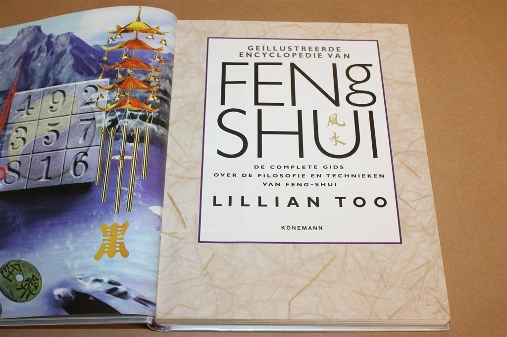 Geïllustreerde Encyclopedie Feng Shui — Complete Gids, Boeken, Ophalen of Verzenden, Gelezen, Interieur en Design