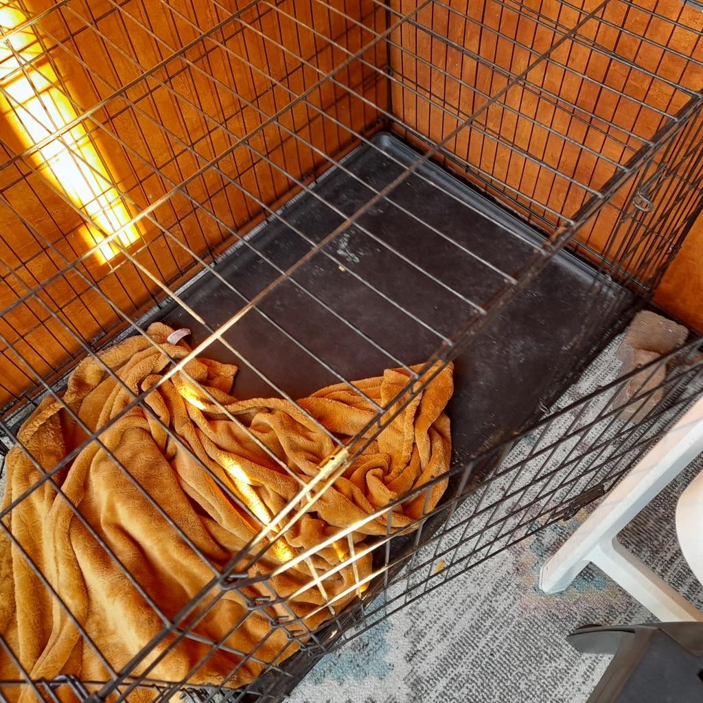 Hond of ijzeren kattenhok, Dieren en Toebehoren, Ophalen