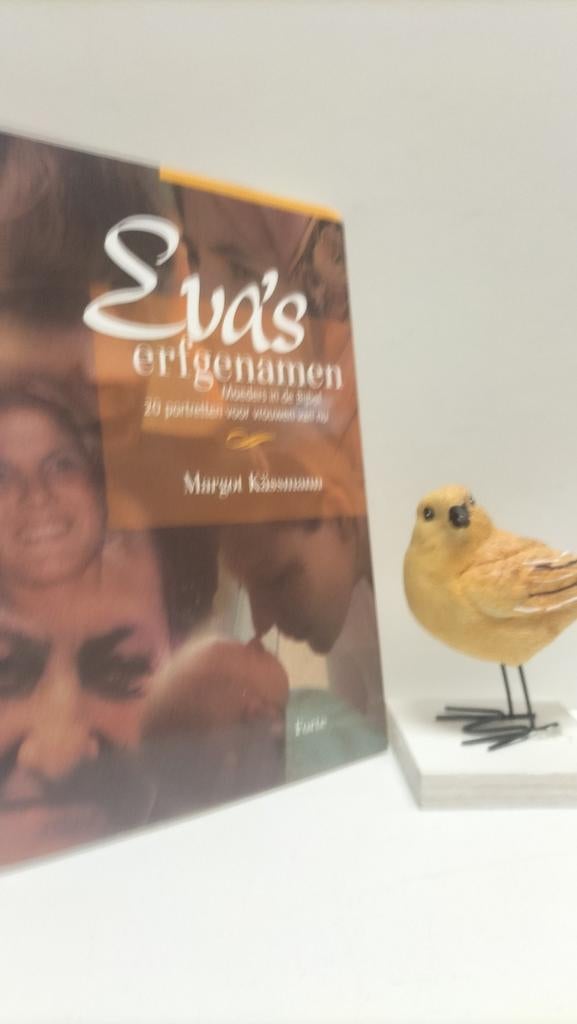 Kässmann, Margot; Eva’s erfgenamen, Boeken, Ophalen of Verzenden, Gelezen, Christendom | Protestants