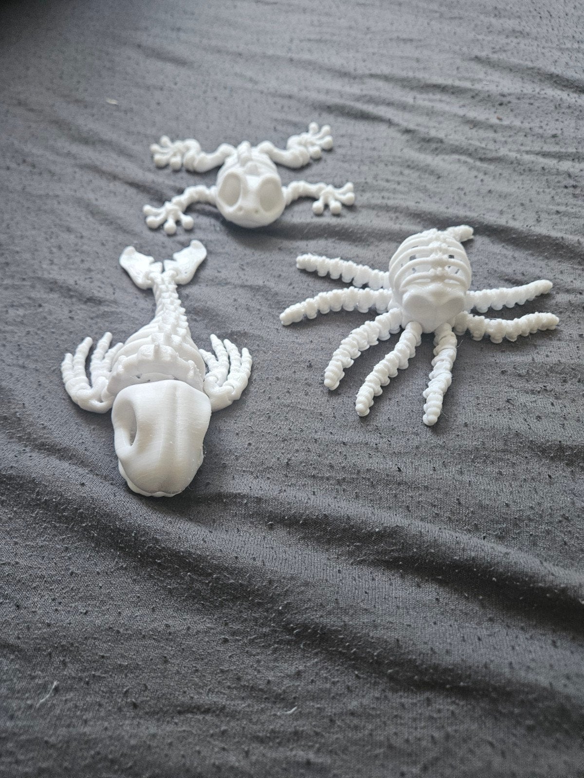 3D Geprinte Flexibele Dieren (skeleten), Ophalen of Verzenden, Nieuw