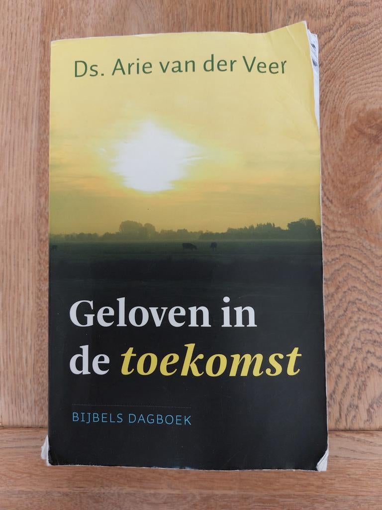 Arie van der Veer - Geloven in de toekomst, Ophalen of Verzenden, Zo goed als nieuw, Arie van der Veer