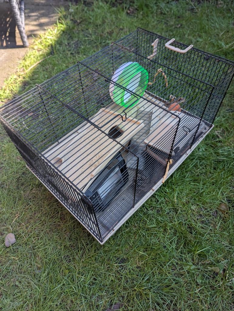 (dwerg) hamster kooi, Kooi, Minder dan 75 cm, Hamster, Ophalen