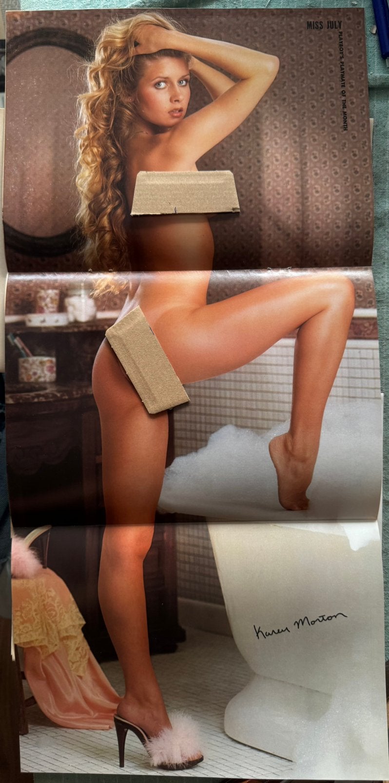 Poster playmate Karen Morten Playboy, Verzenden, Zo goed als nieuw, A1 t/m A3