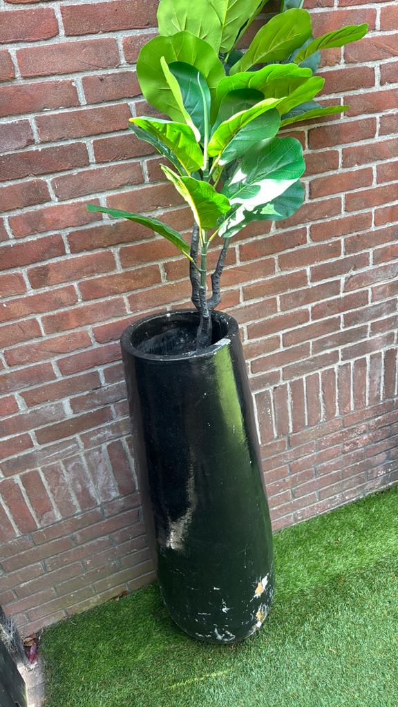 Grote stenen tuinpot 105cm hoog, Ophalen, Bloeit niet, Overige soorten, Volle zon
