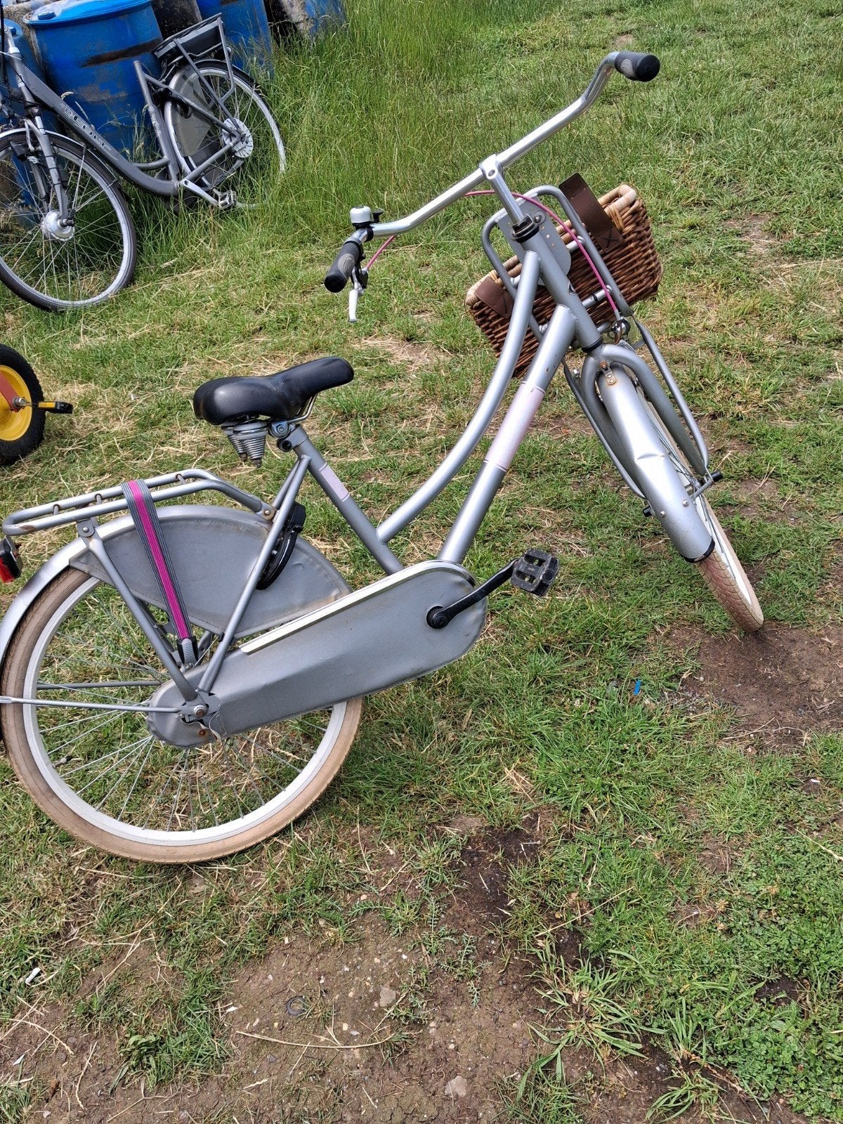Mooie grijze meisjes transportfiets met mandje, Ophalen, Gebruikt, Handrem
