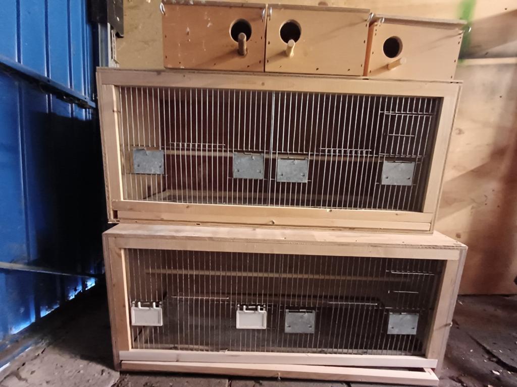 Vogelkooien met 3 broedkooitjes, Ophalen, Zo goed als nieuw, Hout, Vogelkooi
