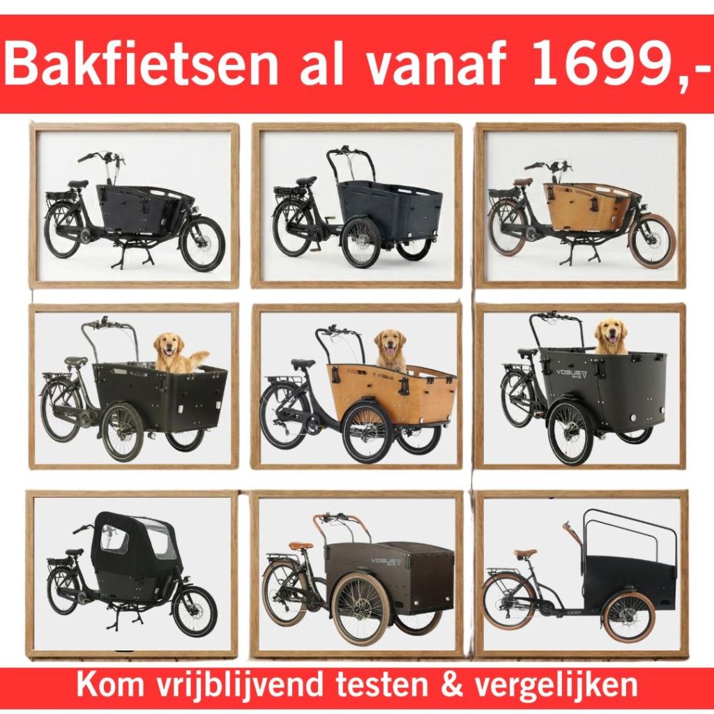 Betaalbare elektrische bakfiets & bakfietsen voor gezinnen