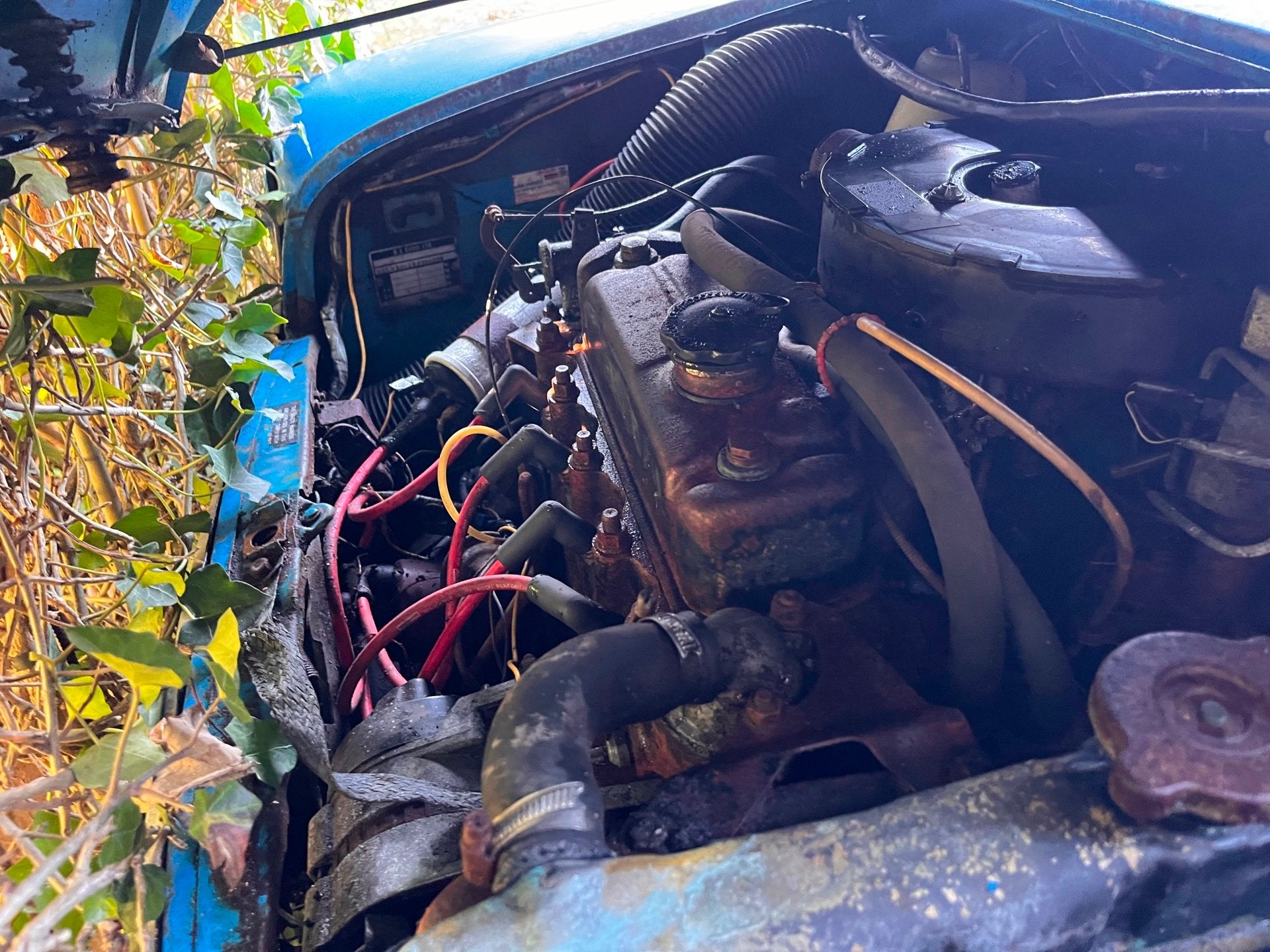 Mini 1000 VAN, foto 6