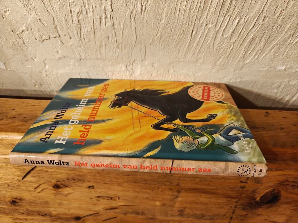 Het geheim van held nummer 6., Ophalen of Verzenden, Fictie algemeen