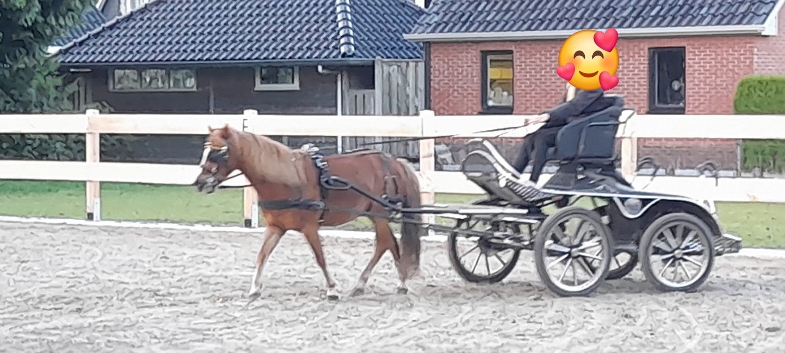A pony mentuig, Dieren en Toebehoren, Gebruikt, Mentuig, Zwart, Ophalen of Verzenden