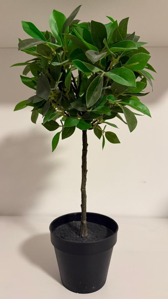 Ficus Kunstplant 42 cm Hoog, Groen, Onderhoudsvrij, Kunstplant, Nieuw