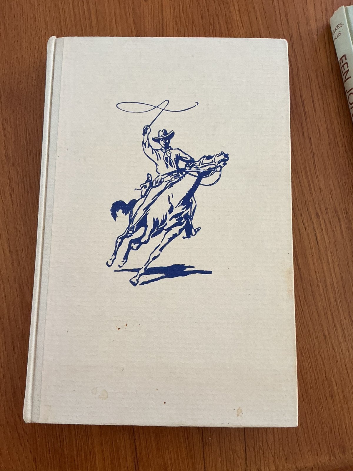 Boek over Arendsoog, De jacht op de grijze hengst., Ophalen of Verzenden, Gelezen