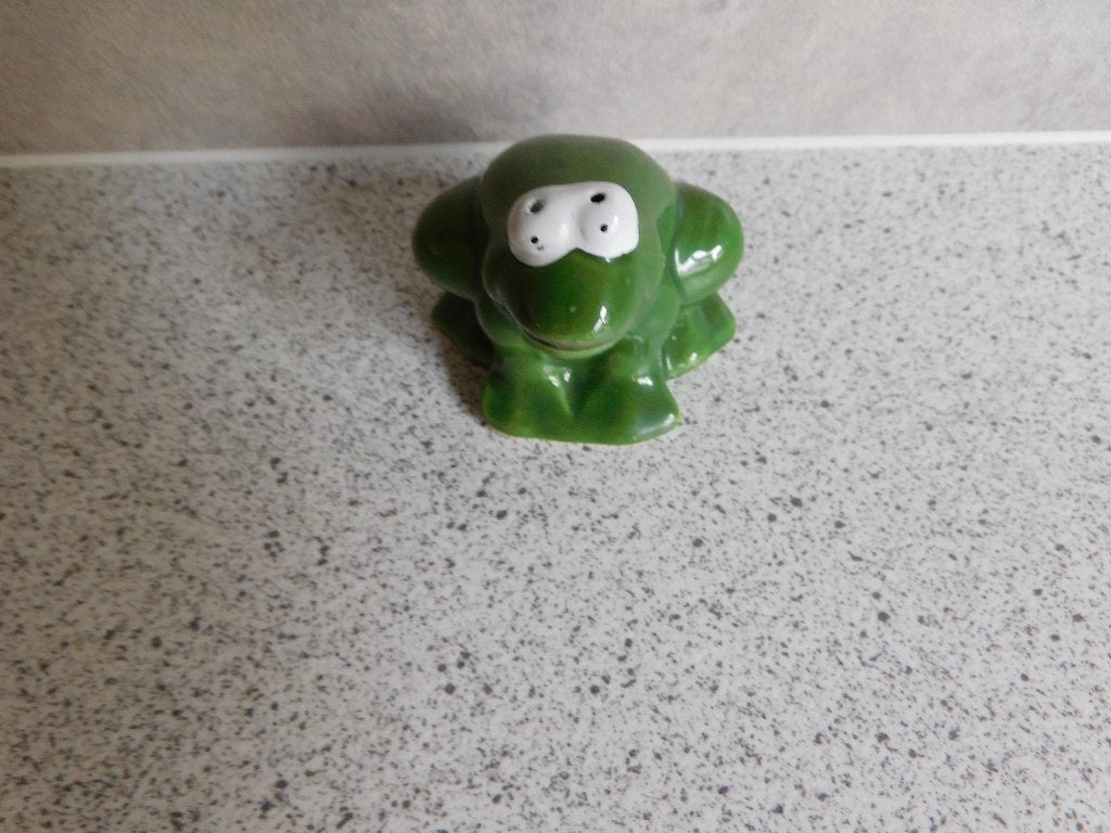 Zoutpot Kikker Groen, Huis en Inrichting, Keuken | Servies, Overige merken, Ophalen of Verzenden, Zo goed als nieuw, Overige stijlen