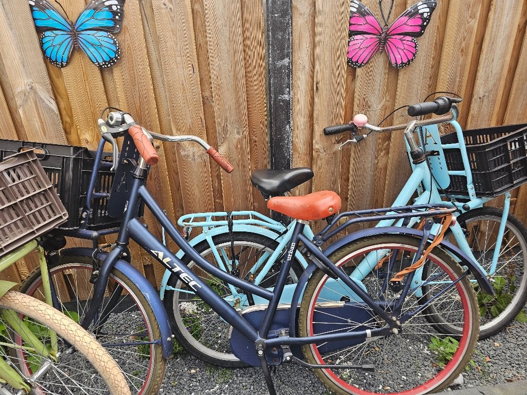 Fiets, Fietsen en Brommers, Fietsen | Kinderfietsjes, Ophalen, Gebruikt, Minder dan 16 inch, Altec